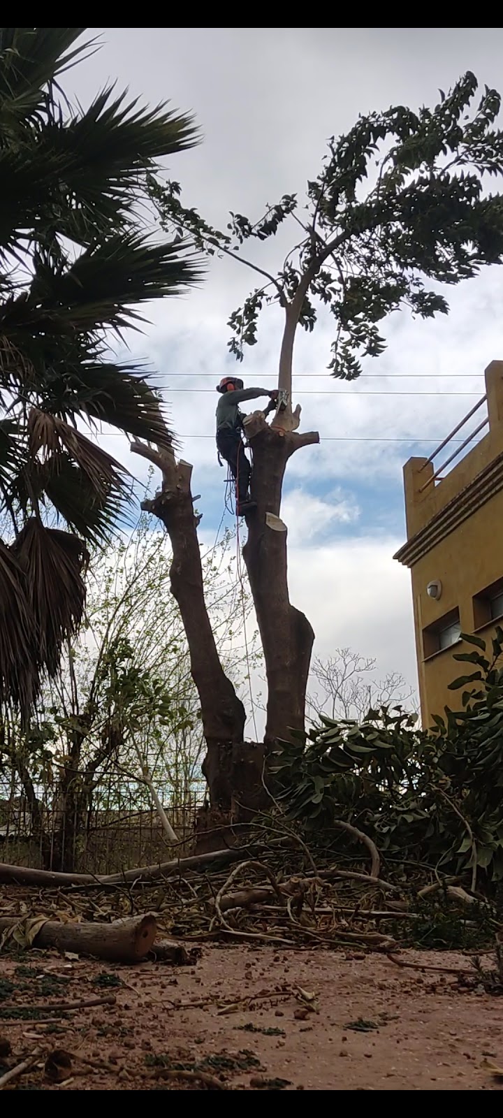 Imagen de negocio en Paisajismo en Provincia de Valencia