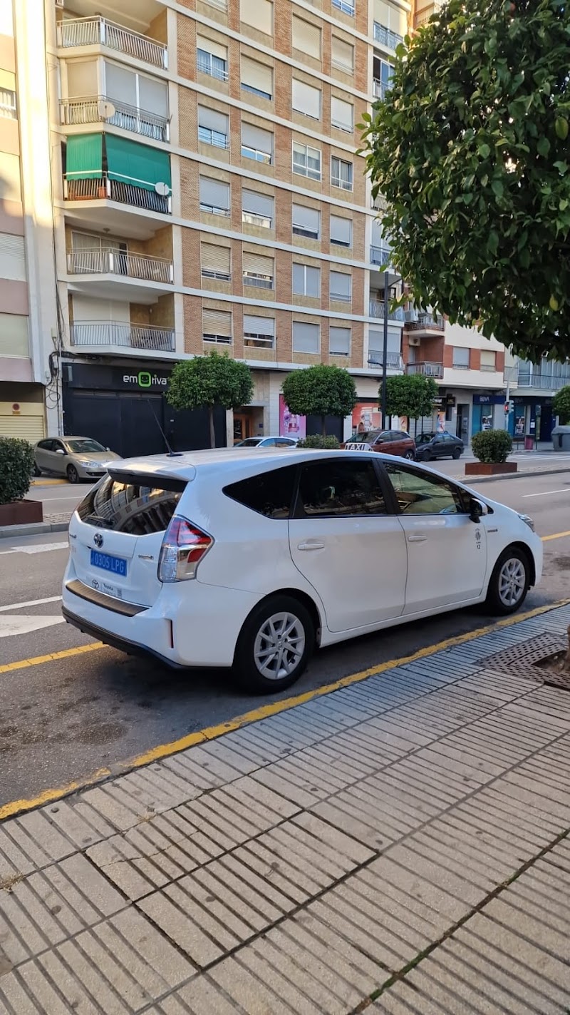 Imagen de Taxi Alzira Juanma Peña – 6 Plazas