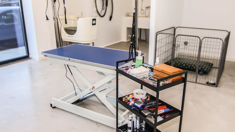 Imagen de Peluquería Canina y Felina – Asgard.