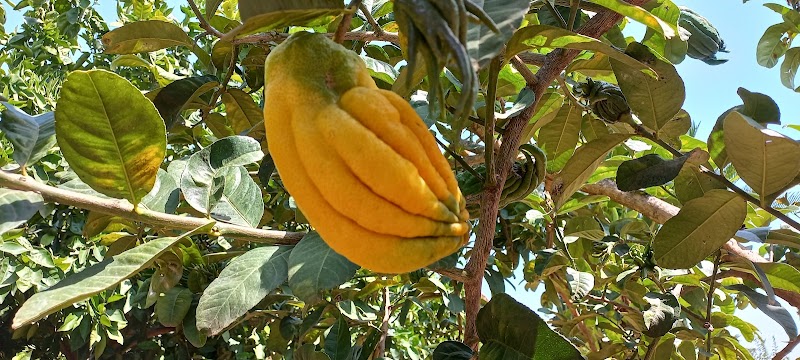Imagen de Residencia de Ancianos Virgen de Aguas Vivas