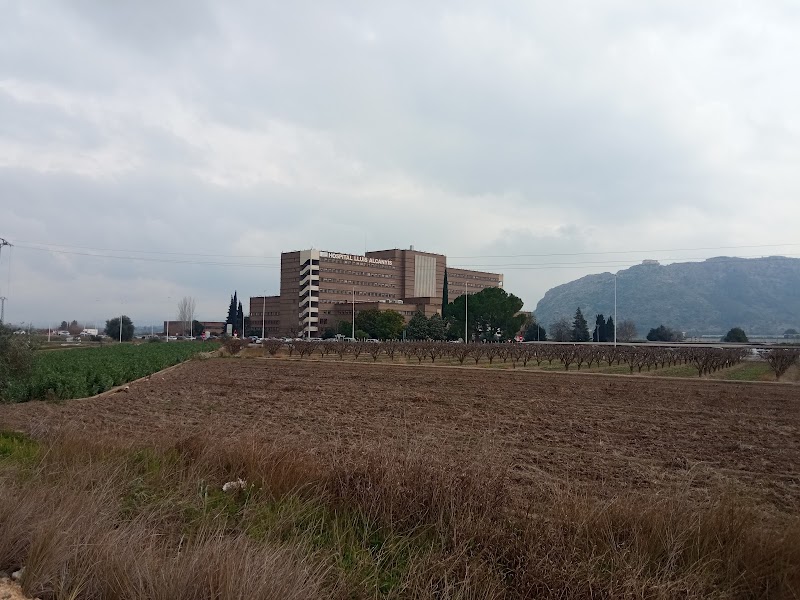 Imagen de Hospital Lluis Alcanyís de Játiva / Xátiva