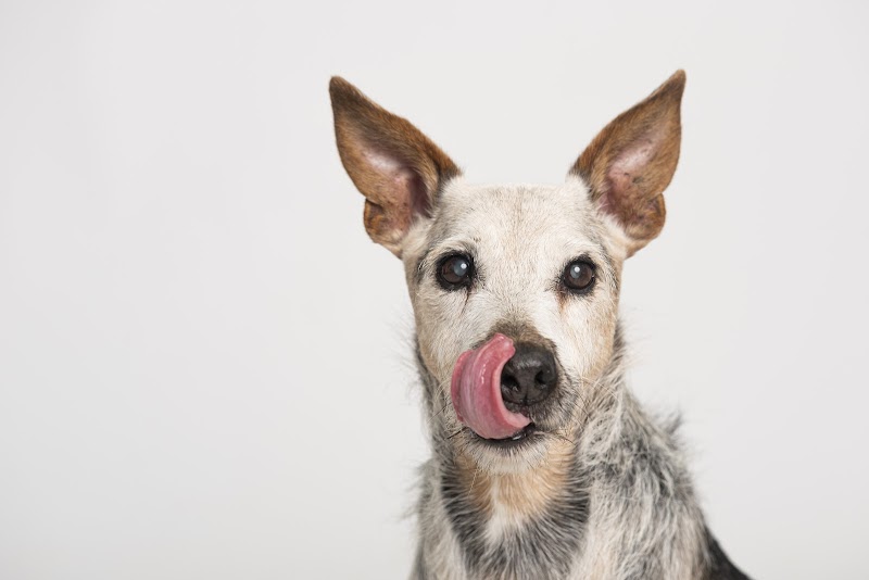 Imagen de Más Que Huellas Fotografía