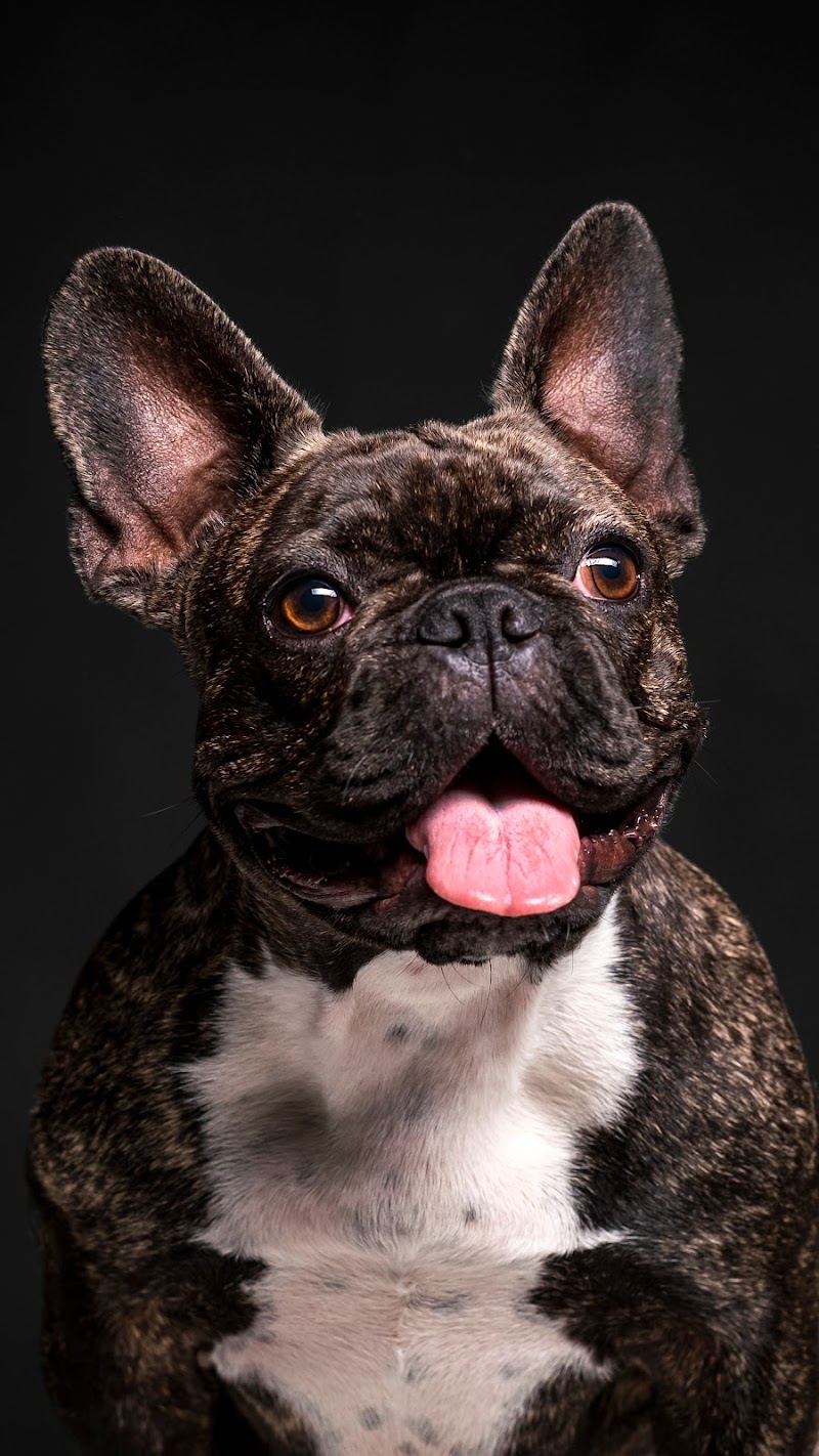 Imagen de Más Que Huellas Fotografía