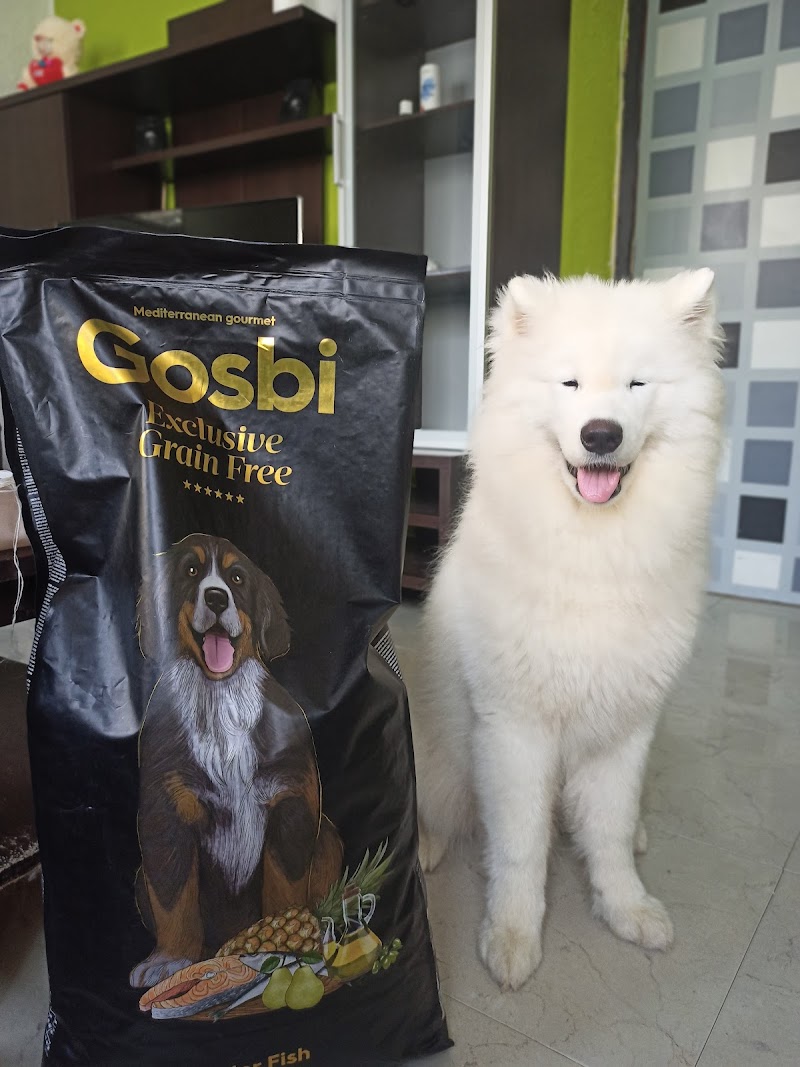 Imagen de Mascoteam (nuevo Lobers)