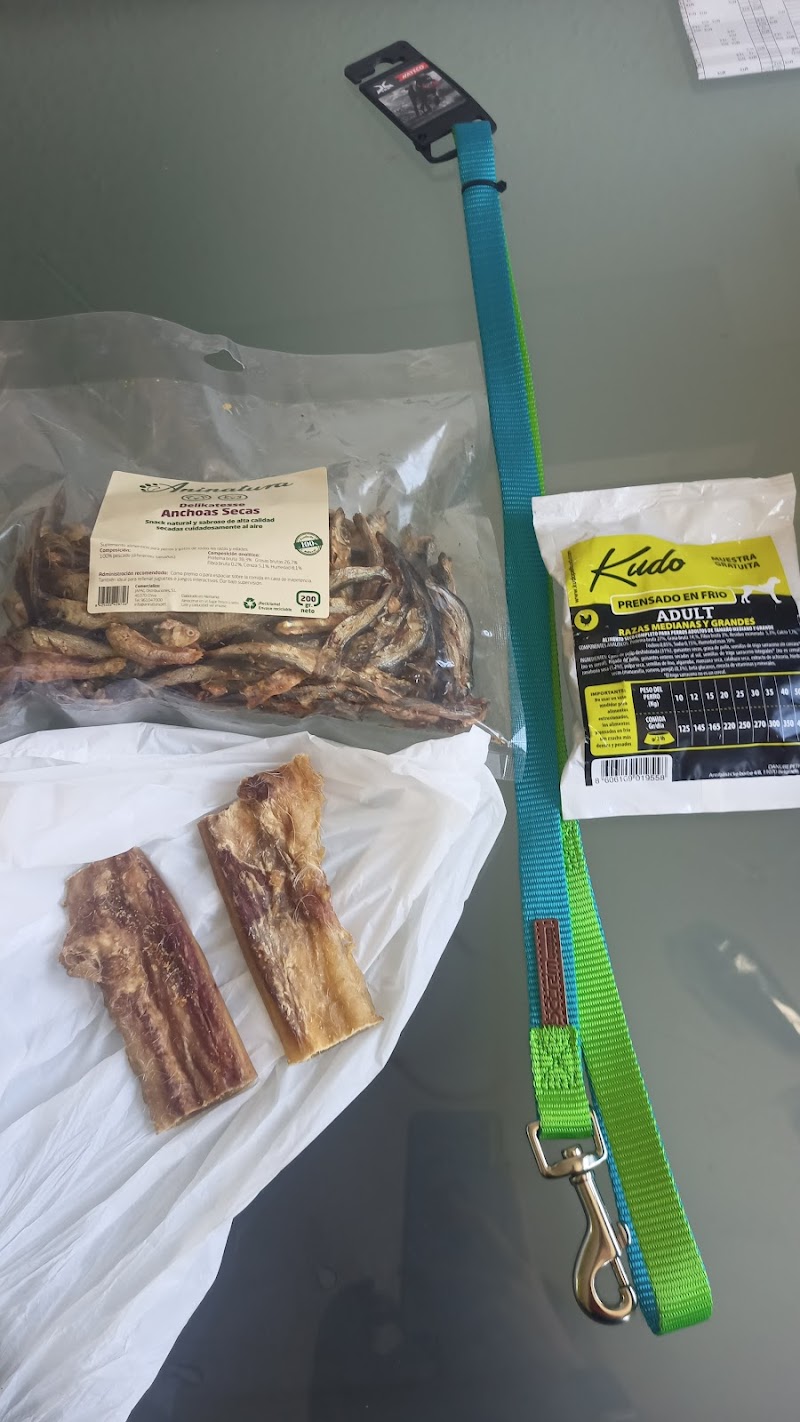 Imagen de Mascoteam (nuevo Lobers)