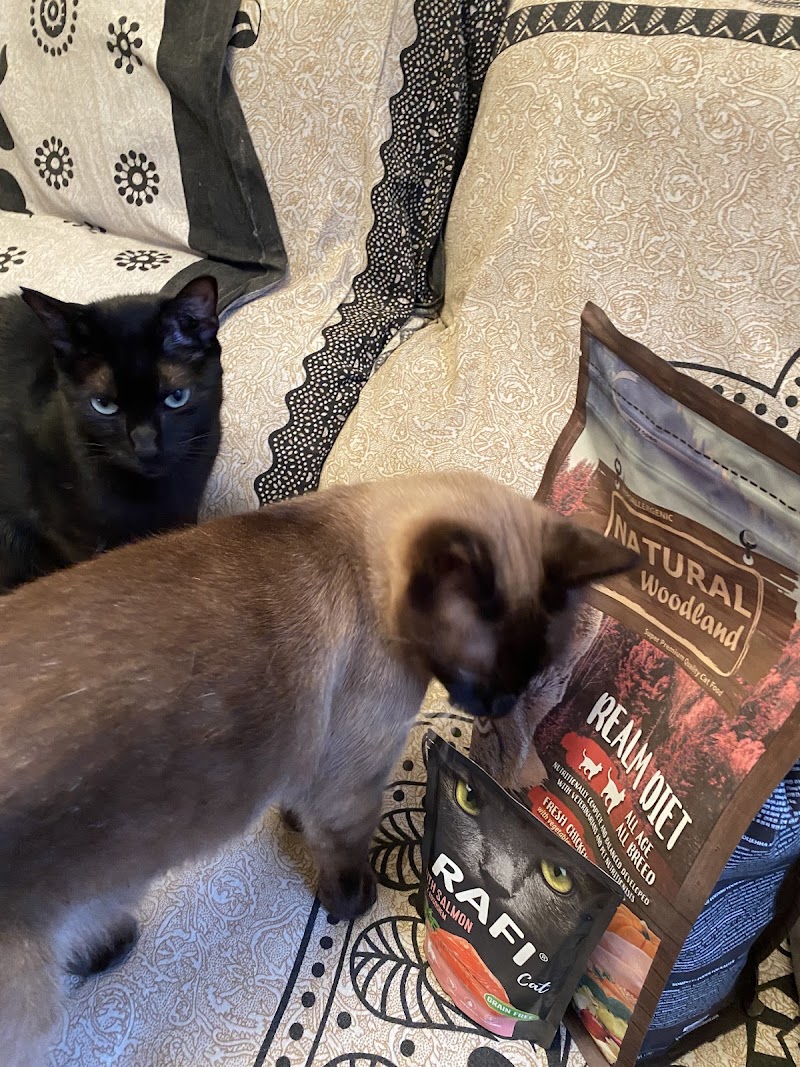 Imagen de Mascoteam (nuevo Lobers)