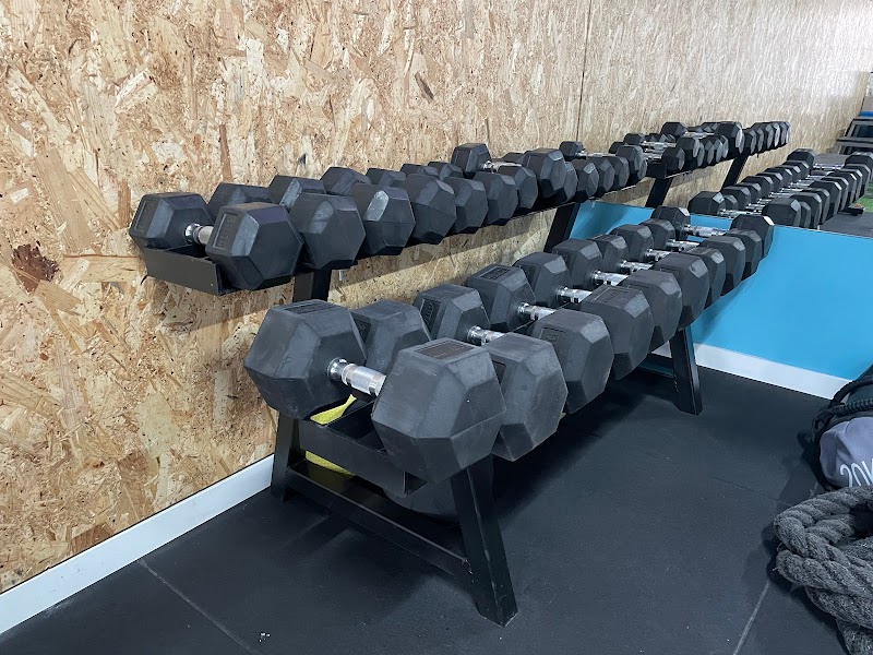 Imagen de Koore – Entrenador Personal en Torrent