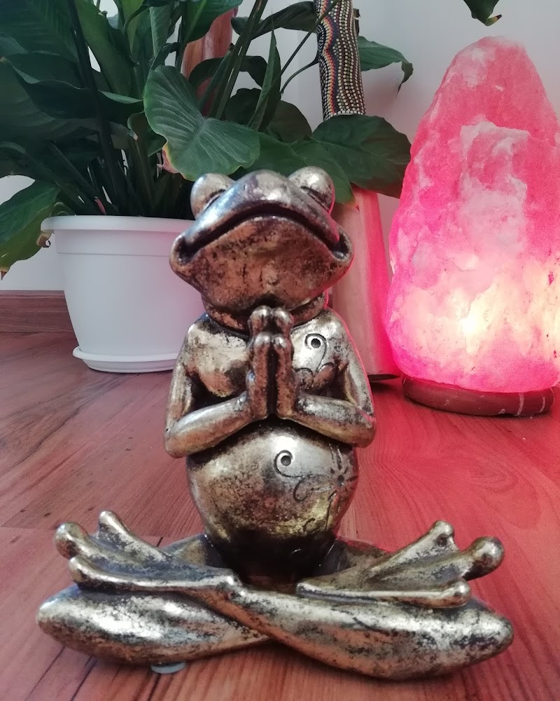 Imagen de Espai Món Sà