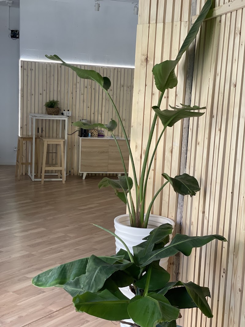 Imagen de David Navarro Osteopata