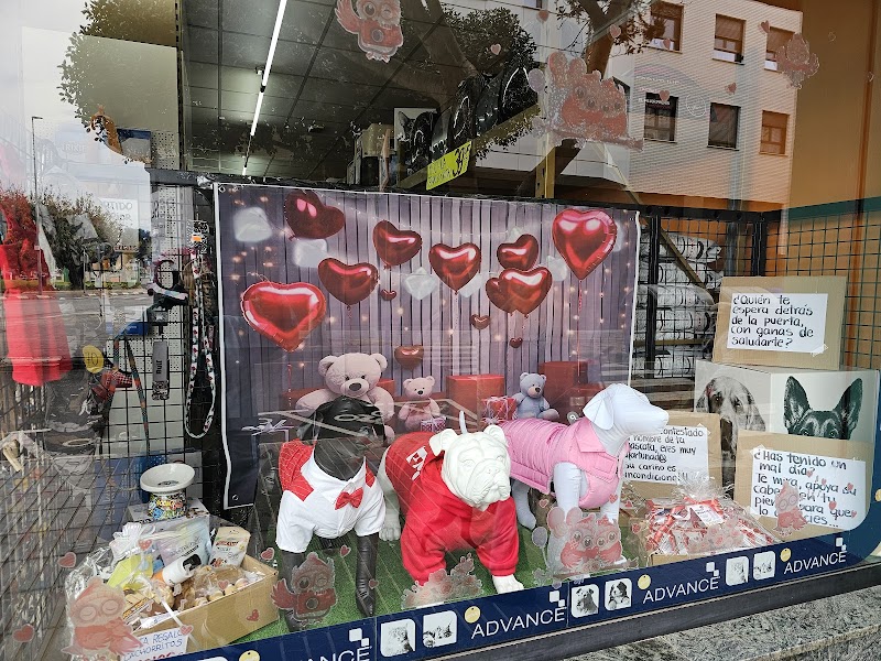 Imagen de Hipermascota Valencia