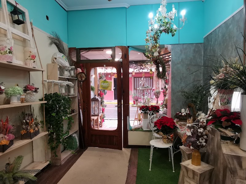 Imagen de Floristería Esterlicies