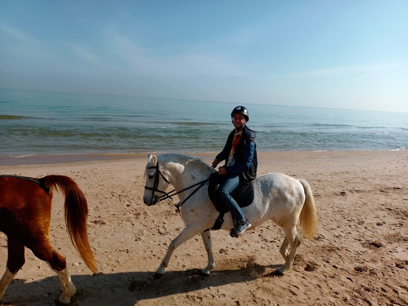 Imagen representativa de la localización