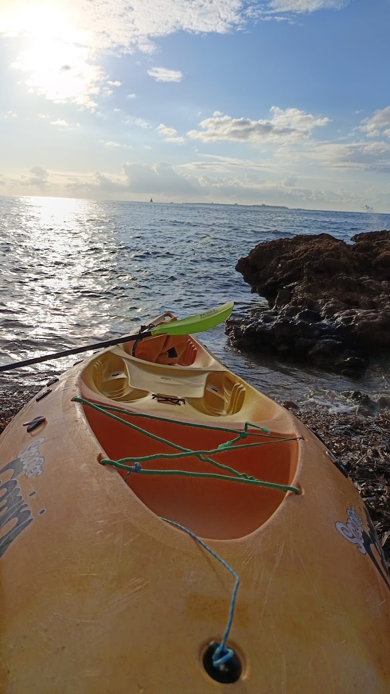 Imagen de Tabarkayak – Rutas Guiadas en Kayak a Tabarca