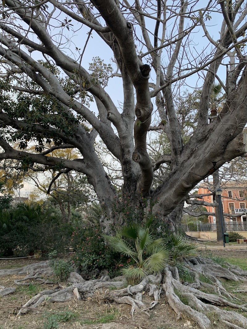 Imagen representativa de la localización