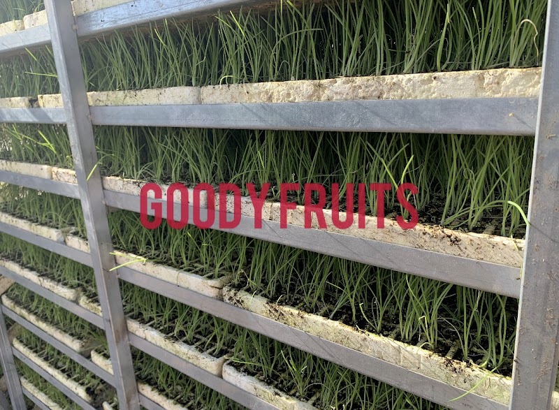 Imagen representativa de la localización