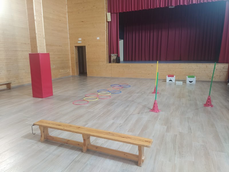 Imagen de Colegio Diocesano Nuestra Señora de los ángeles