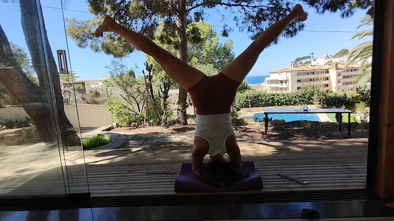 Imagen de Azucena Molina. Yoga Iyengar en Alicante (en Mentoria) Terapia Craneosacral Biodinámica. Acompañamiento Somático.