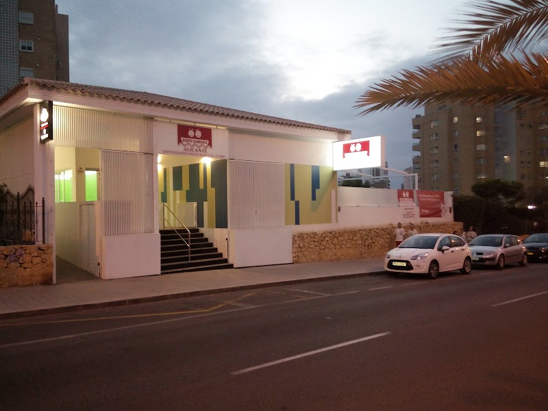 Imagen de Kid’s Garden Alicante
