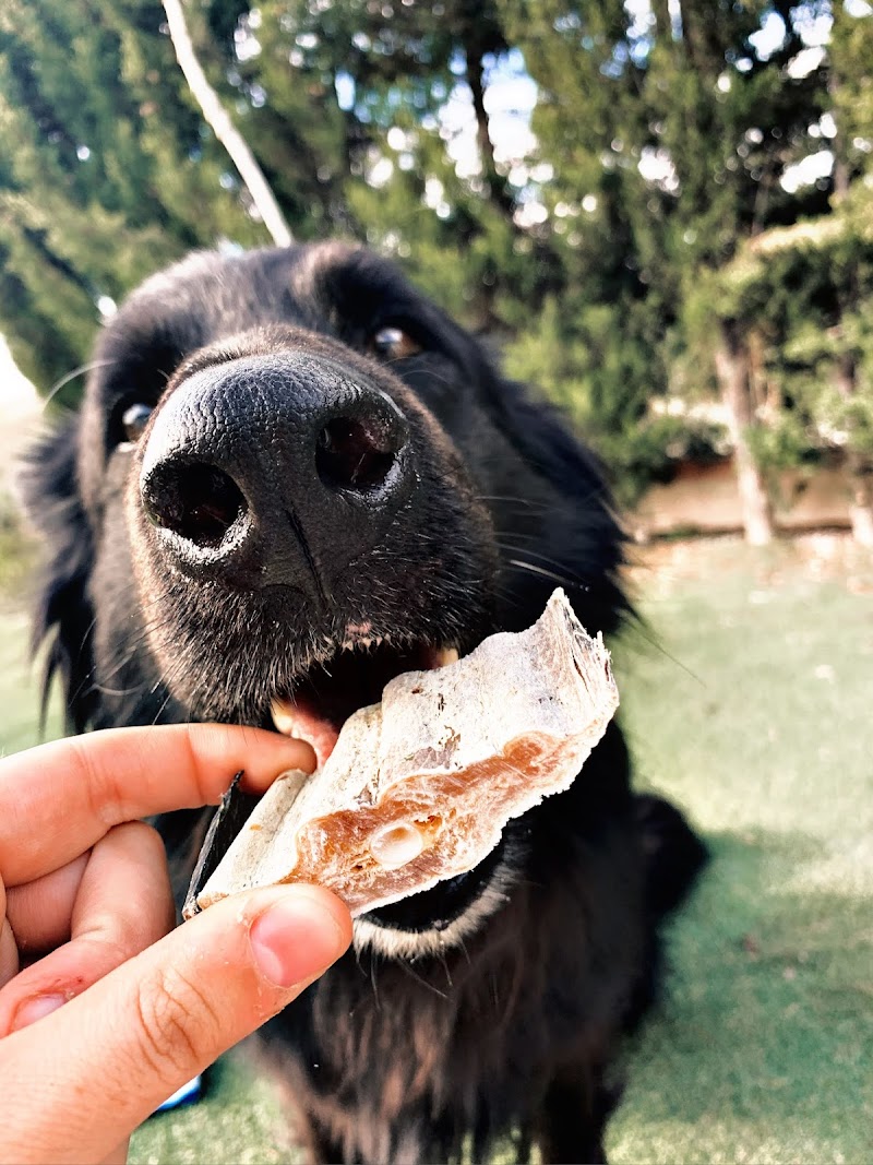 Imagen de Tienda Perruna