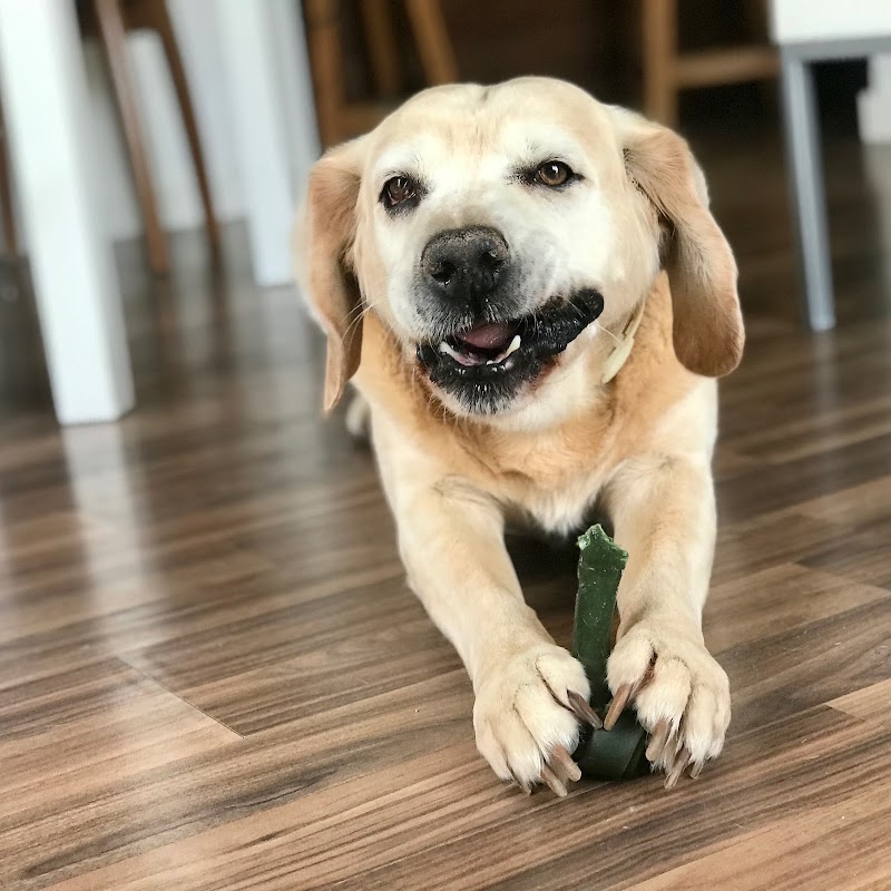 Imagen de Tienda Perruna