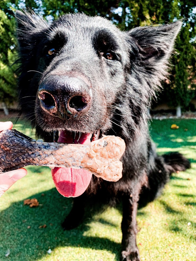 Imagen de Tienda Perruna