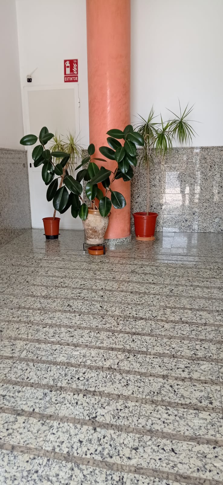 Imagen de 4 Manos Empresa de Limpieza en Alicante