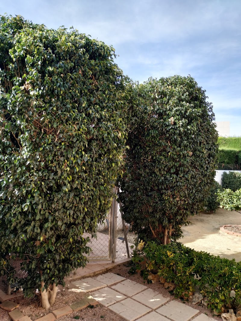 Imagen de Jardinería Cacique