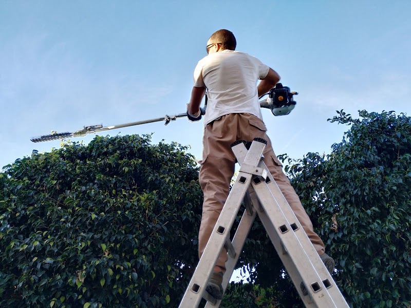 Imagen de Jardinería Cacique