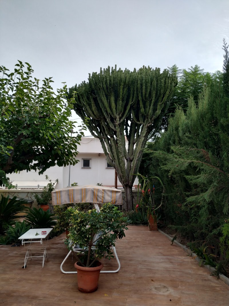 Imagen de Jardinería Cacique