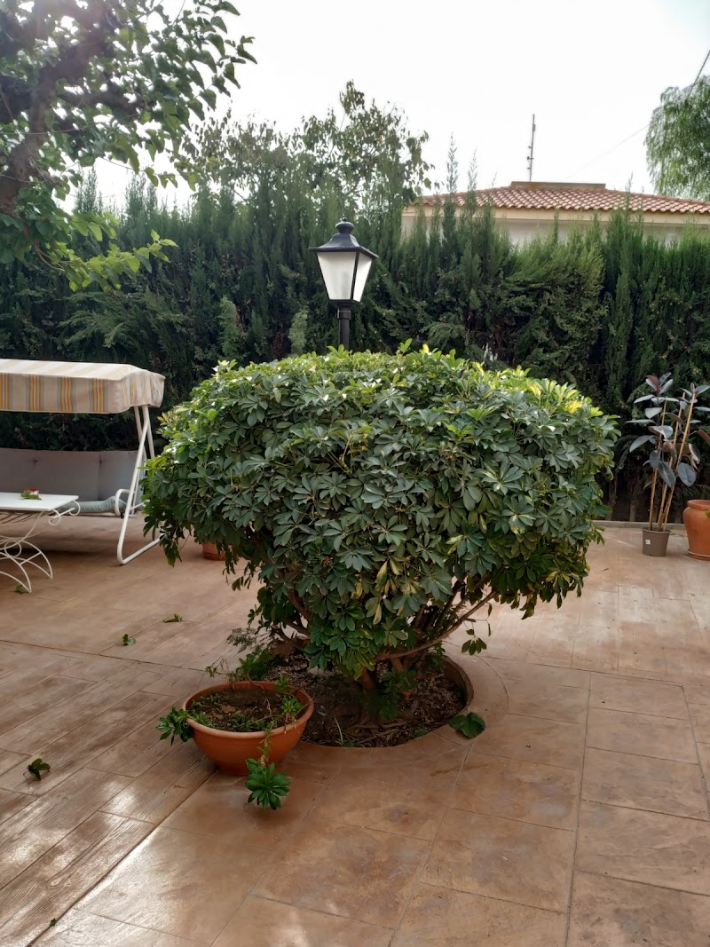 Imagen de Jardinería Cacique