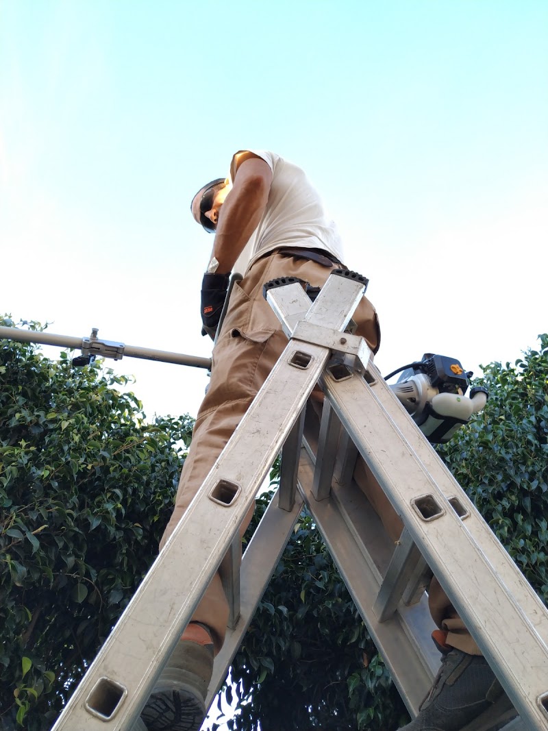 Imagen de Jardinería Cacique