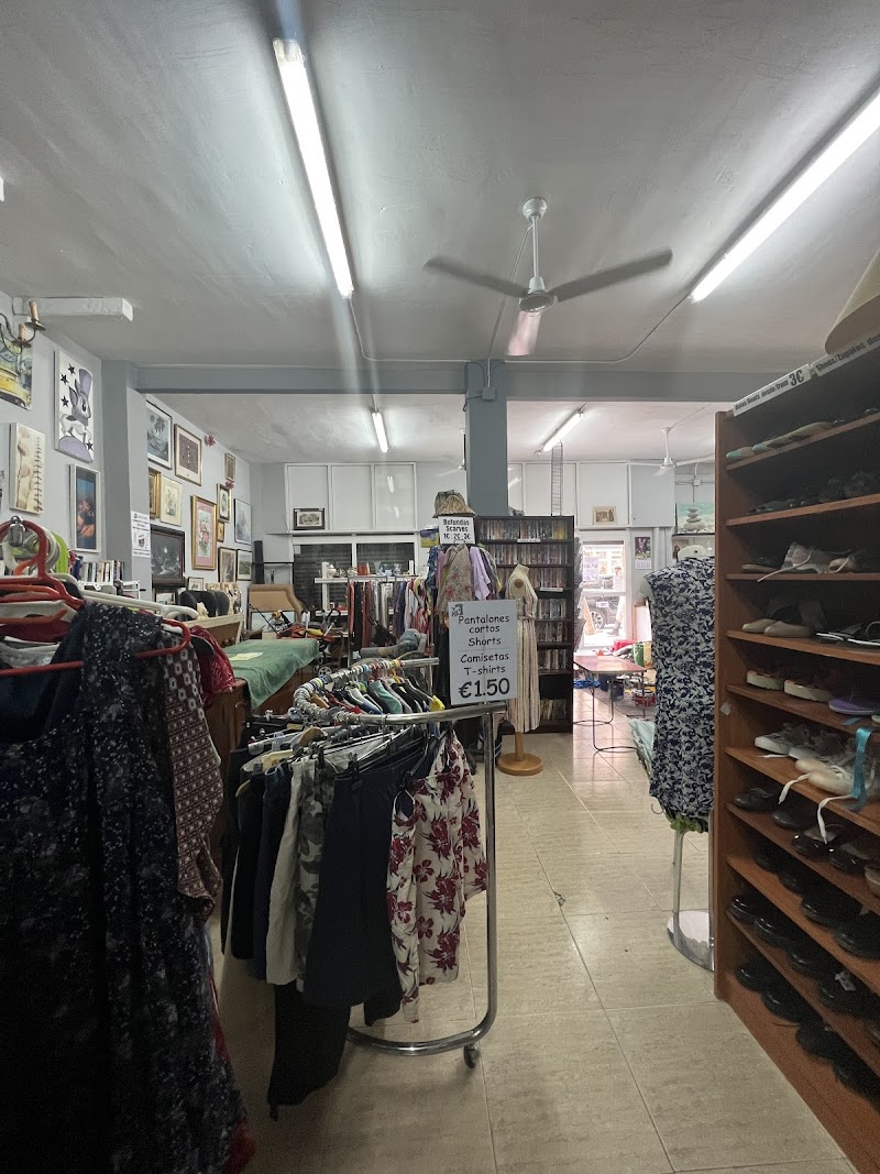 Imagen de Apac – Asociacion de Animales de el Campello