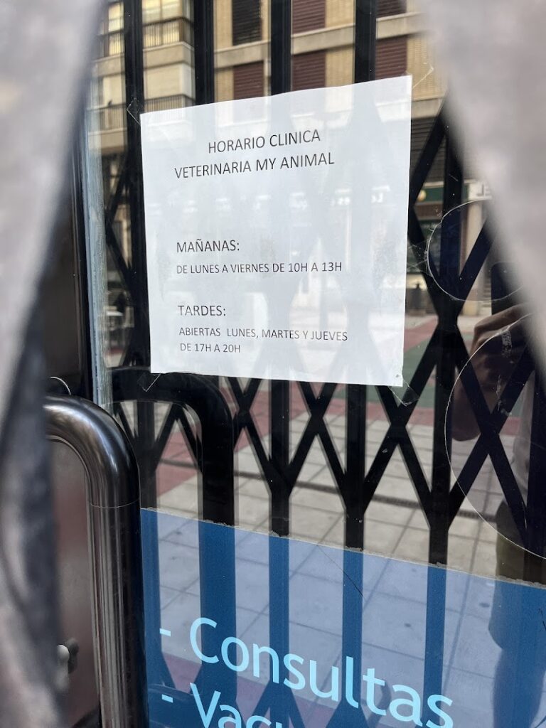 Imagen de Consultorio Veterinario My Animal