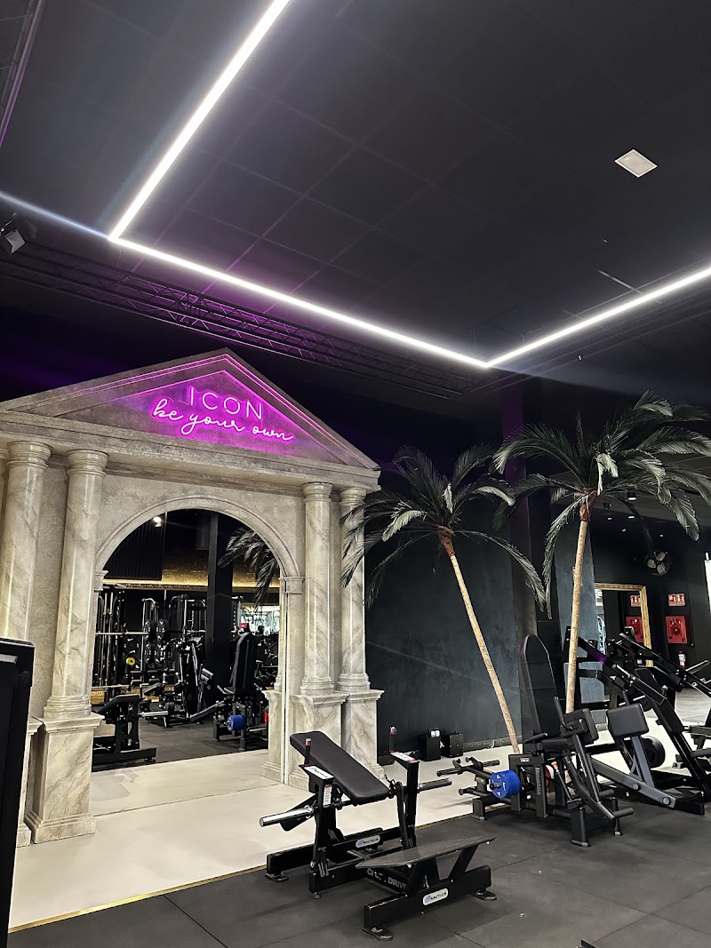 Imagen de Icon Gym