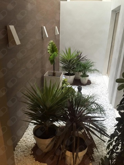 Imagen de Dr. José Carlos González Piqueras