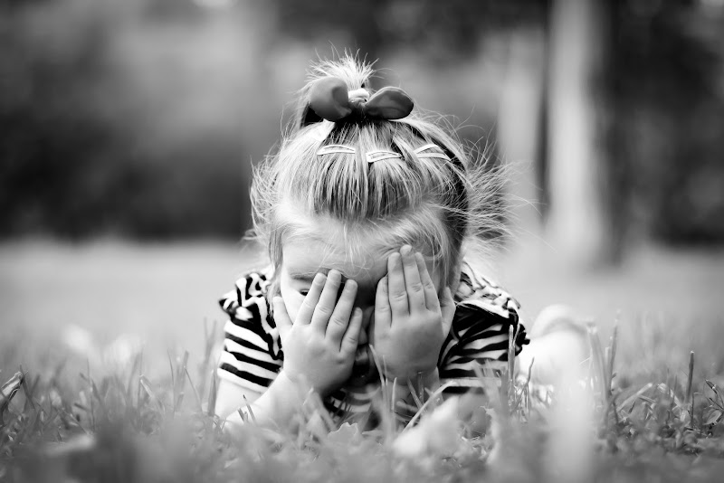 Imagen de Mividaenfoto | Fotografía