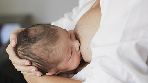 Imagen de Mividaenfoto | Fotografía