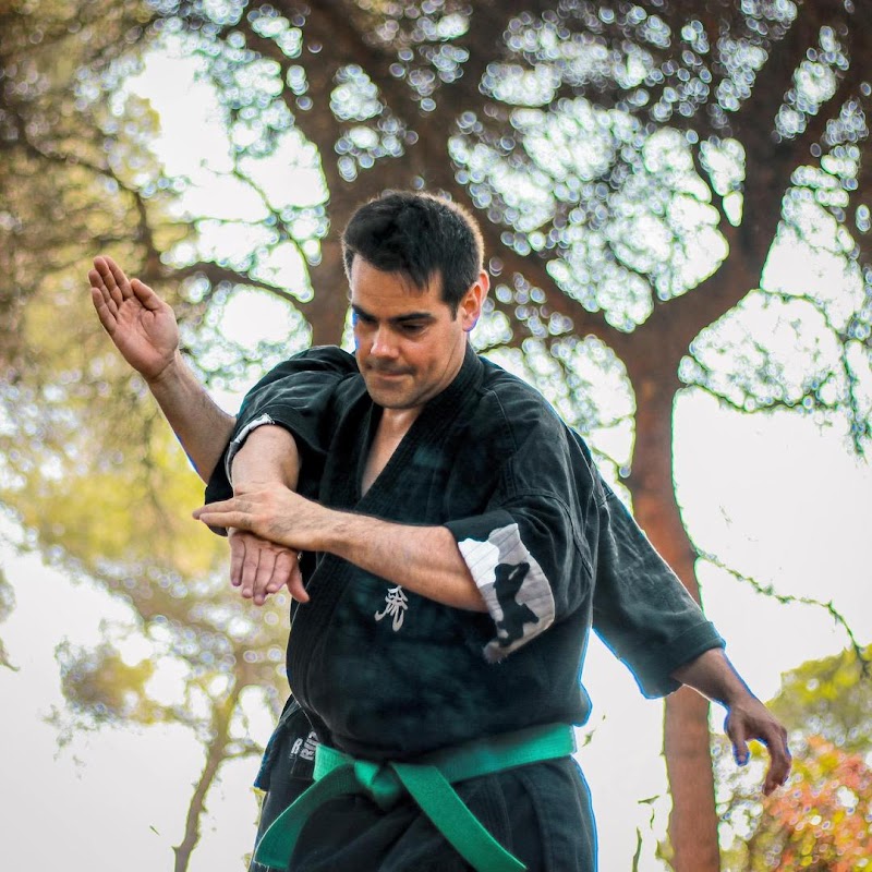 Imagen de Dojo Tao Ryu Mislata
