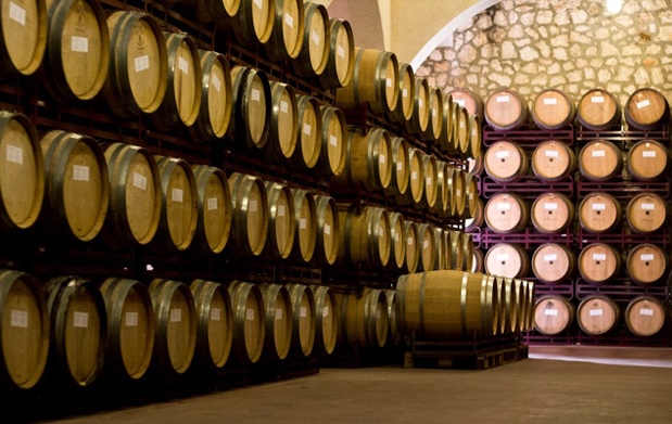 Imagen de Bodegas Enguera – Entreviñedos