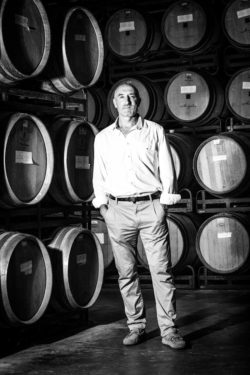 Imagen de Bodegas Enguera – Entreviñedos