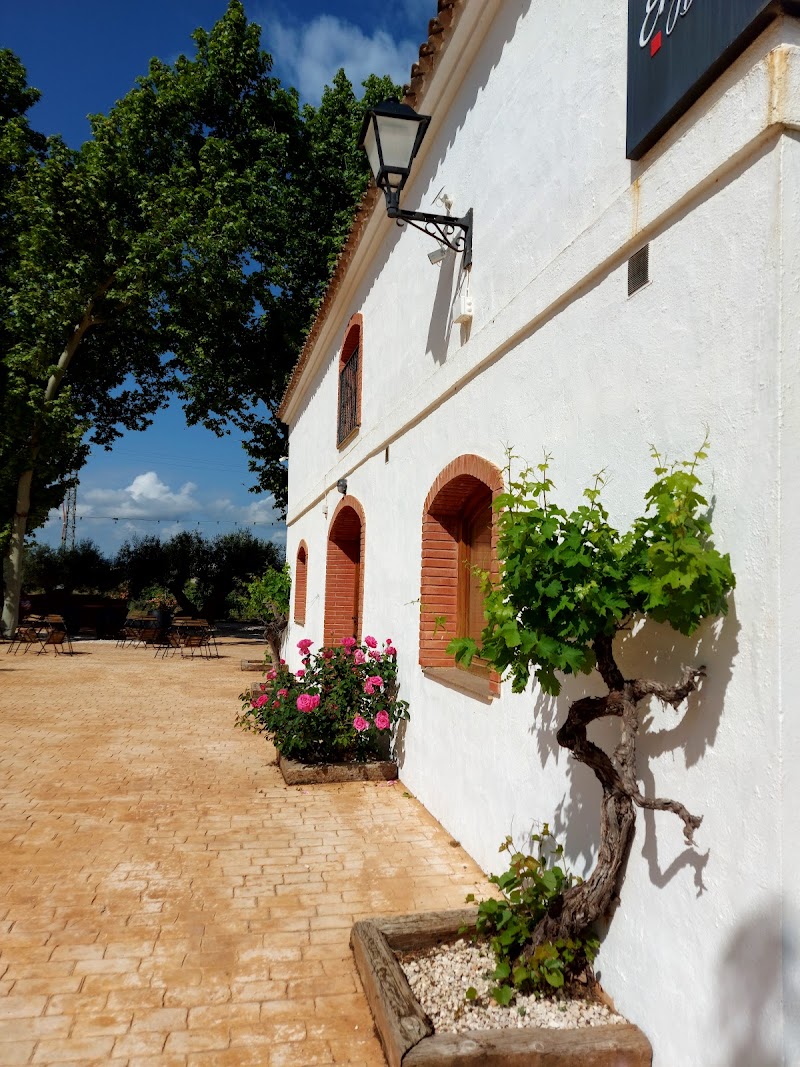 Imagen de Bodegas Enguera – Entreviñedos