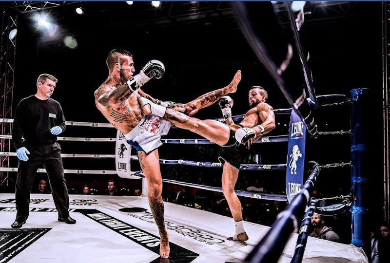 Imagen de The Mechanic Team