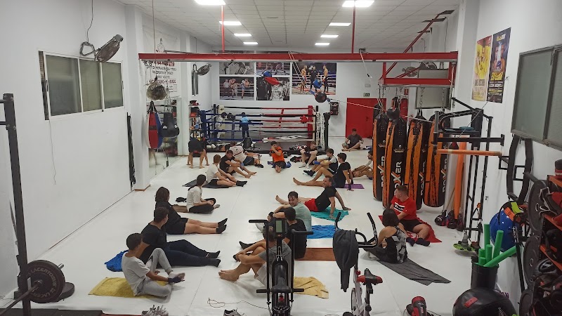 Imagen de The Mechanic Team