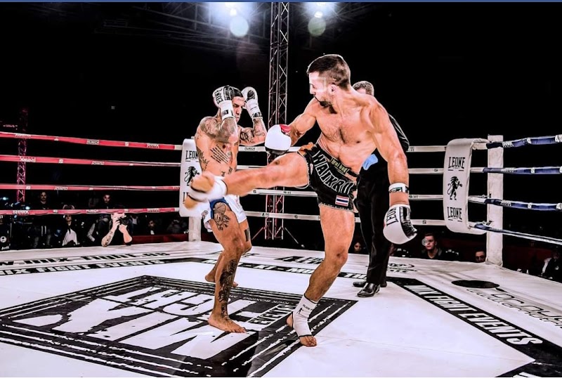 Imagen de The Mechanic Team