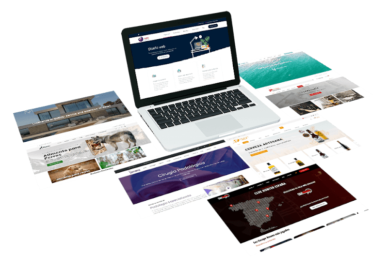 Imagen de Seo Xàtiva