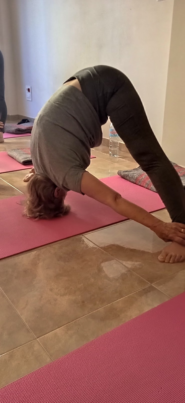 Imagen de El Corazón del Yoga