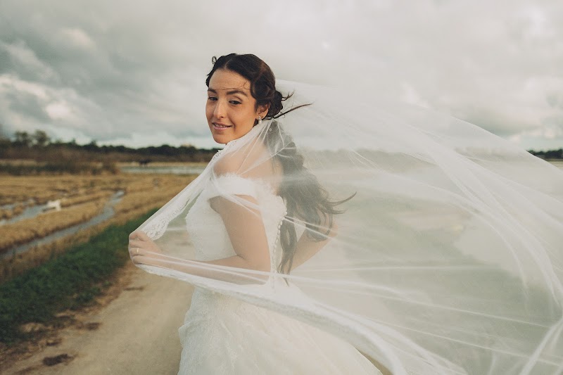 Imagen de Pedro Talens