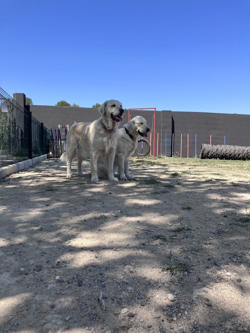 Imagen de Centro Canino Unidos