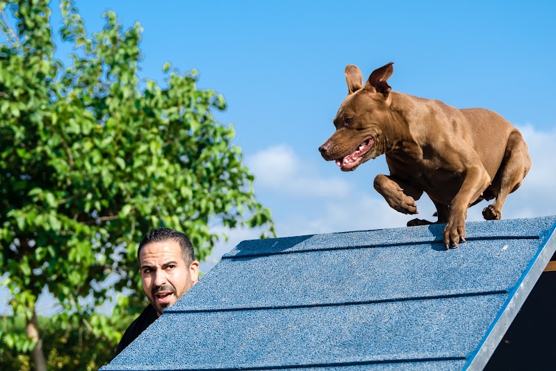 Imagen de Centro Canino Unidos