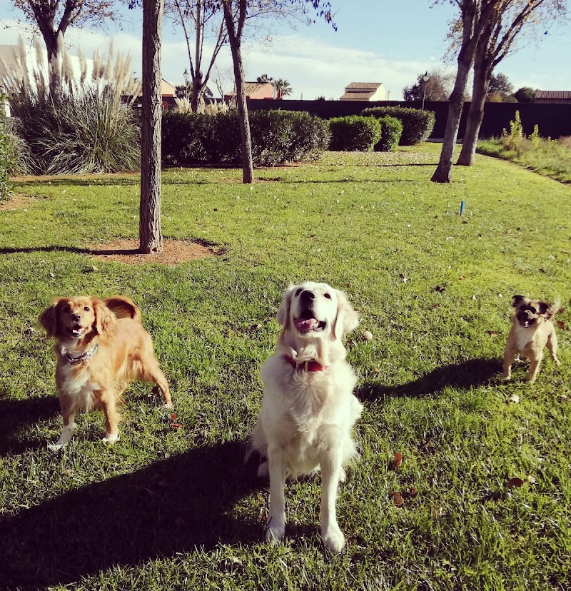 Imagen de Cuido a Tu Perrete!